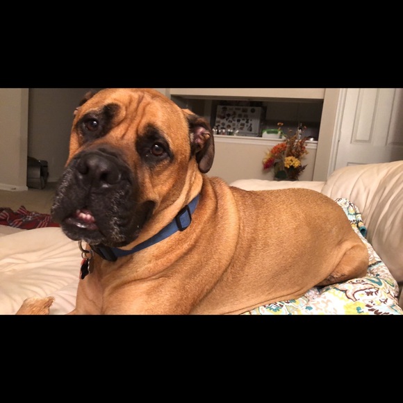 Meet your Posher, Jordan - Picture 1 of 1